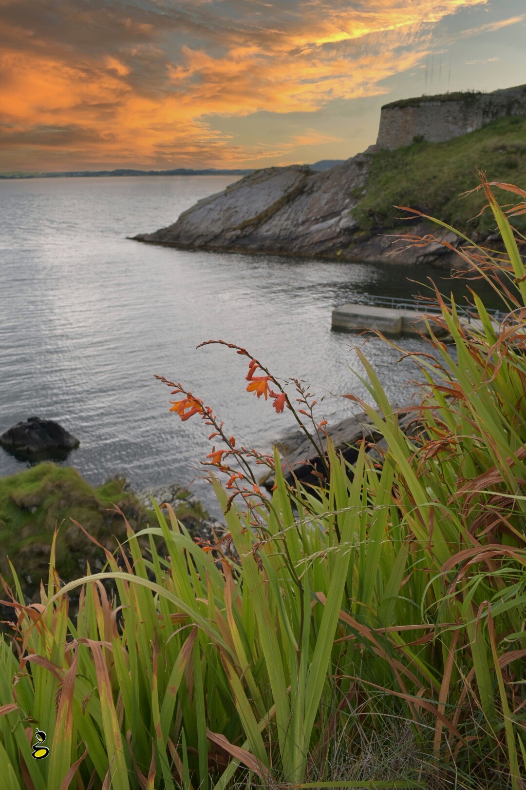 Inishowen Photographer